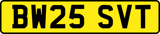 BW25SVT