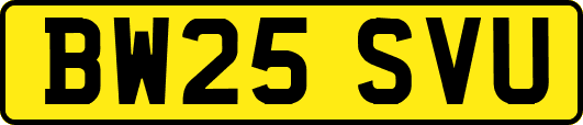 BW25SVU