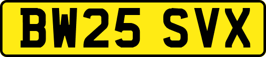 BW25SVX