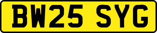 BW25SYG