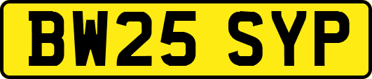 BW25SYP