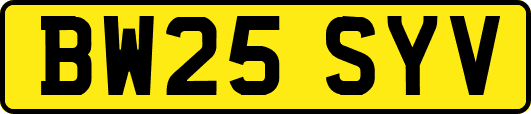 BW25SYV