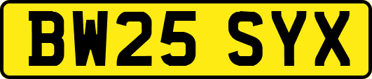 BW25SYX