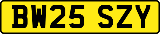 BW25SZY