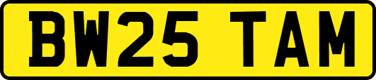 BW25TAM