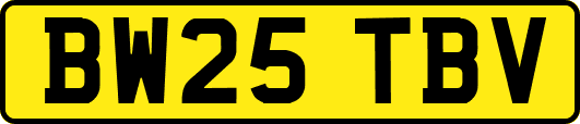 BW25TBV