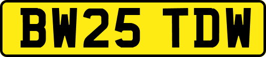 BW25TDW