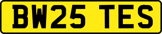 BW25TES