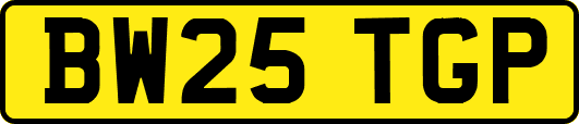 BW25TGP