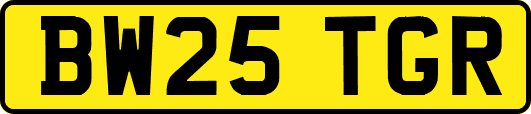 BW25TGR