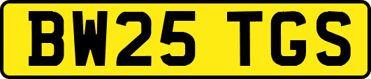 BW25TGS