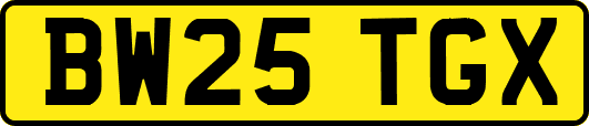 BW25TGX