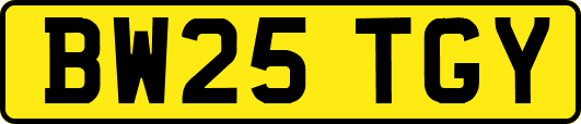 BW25TGY
