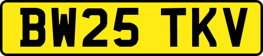 BW25TKV