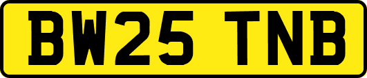 BW25TNB