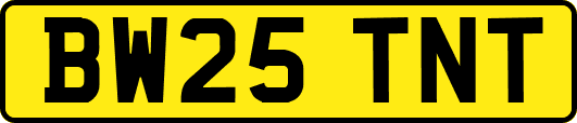 BW25TNT