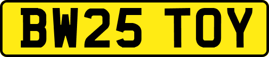 BW25TOY