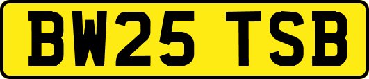 BW25TSB
