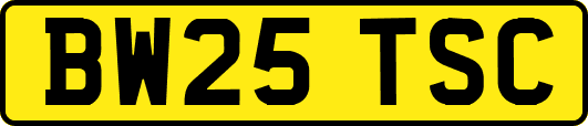 BW25TSC