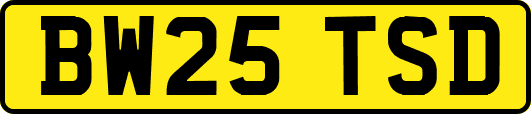 BW25TSD