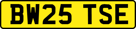 BW25TSE