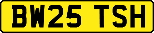 BW25TSH