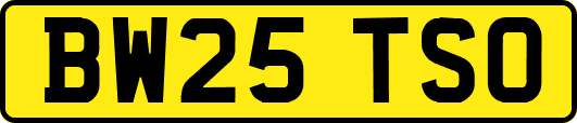BW25TSO