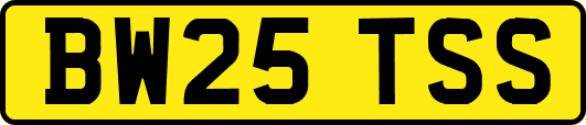 BW25TSS