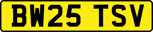 BW25TSV