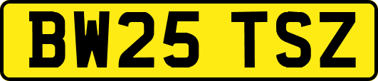 BW25TSZ