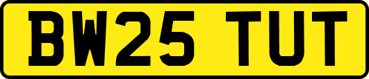 BW25TUT