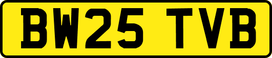 BW25TVB