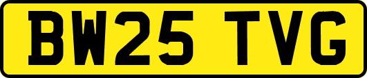 BW25TVG