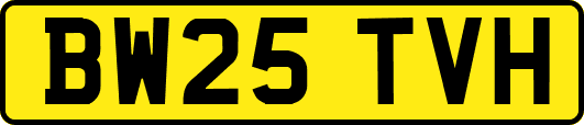 BW25TVH