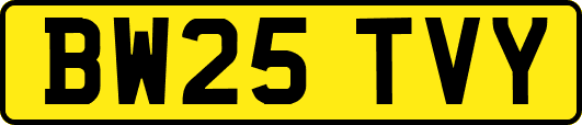 BW25TVY