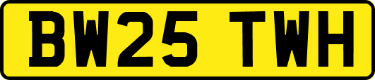 BW25TWH