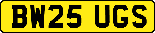 BW25UGS