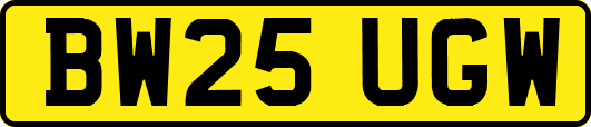 BW25UGW