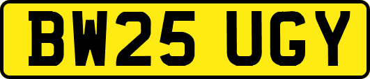 BW25UGY