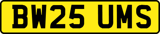 BW25UMS