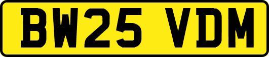 BW25VDM