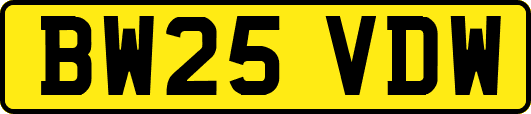 BW25VDW