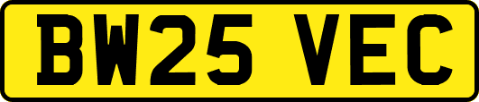 BW25VEC