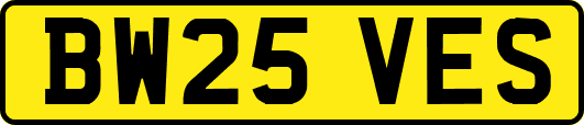BW25VES