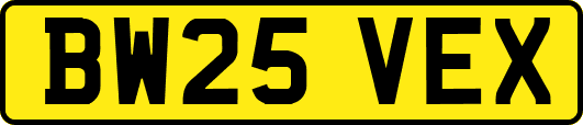 BW25VEX