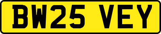 BW25VEY
