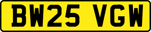 BW25VGW