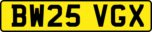 BW25VGX