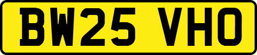 BW25VHO