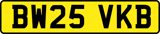 BW25VKB